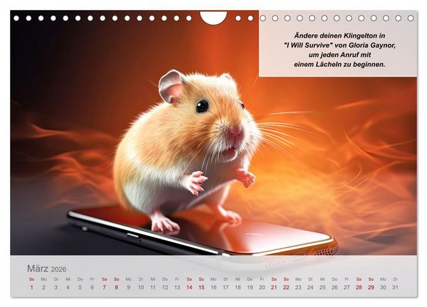 Produktbild: Endlich erfolgreich geschieden (Wandkalender 2026 DIN A4 quer), CALVENDO Monatskalender