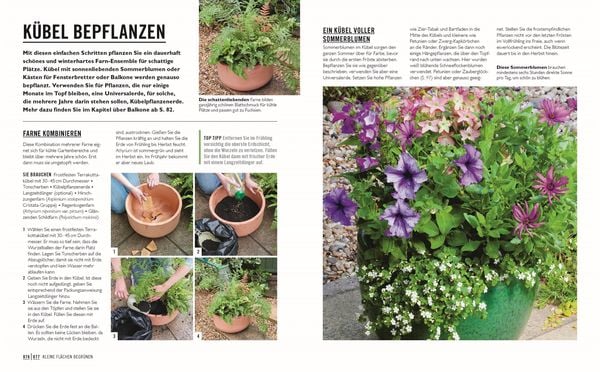 Grünes Gartenwissen. Kleine Gärten optimal gestaltet