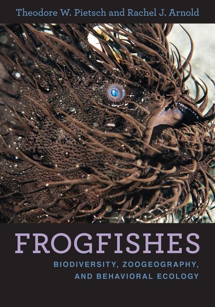Produktbild: Frogfishes