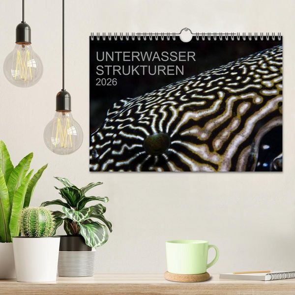 Produktbild: Unterwasser Strukuren (Wandkalender 2026 DIN A4 quer), CALVENDO Monatskalender