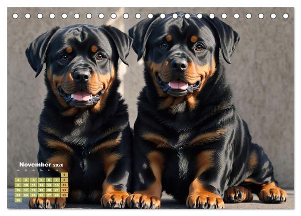 Produktbild: Majest&auml;tische Rottweiler: Ein Jahr voller Kraft und Loyalit&auml;t (Tischkalender 2026 DIN A5 quer), CALVENDO Monatskalender