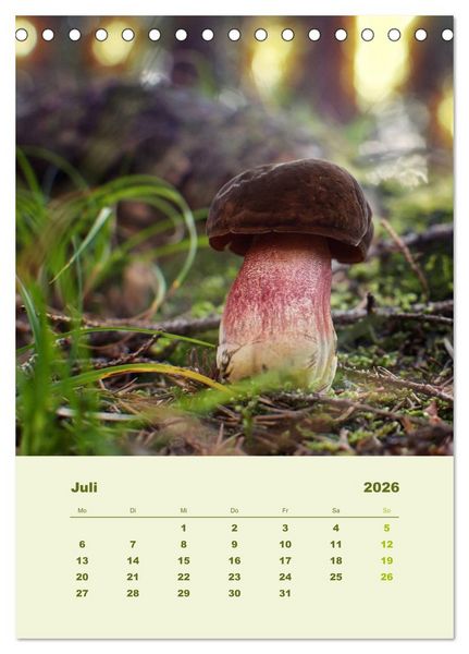Produktbild: Wundersame Welt der Pilze (Tischkalender 2026 DIN A5 hoch), CALVENDO Monatskalender