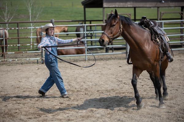 Produktbild: Heartland - Paradies f&uuml;r Pferde - Staffel 13 (Neuauflage) [4 DVDs]