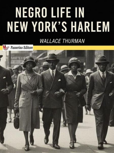 Produktbild: Negro Life in New York's Harlem