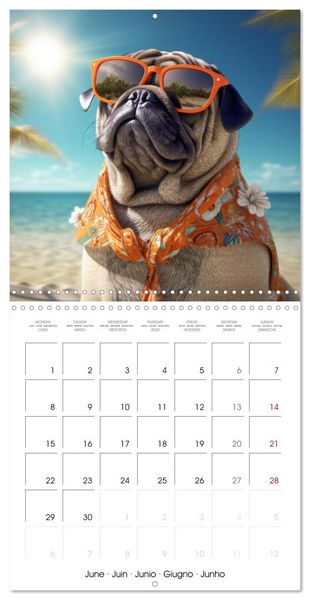 Produktbild: PUGS Cute and cuddly doggies (Wall Calendar 2026 12 &times; 12 Inch) CALVENDO 12 Month Wall Calendar