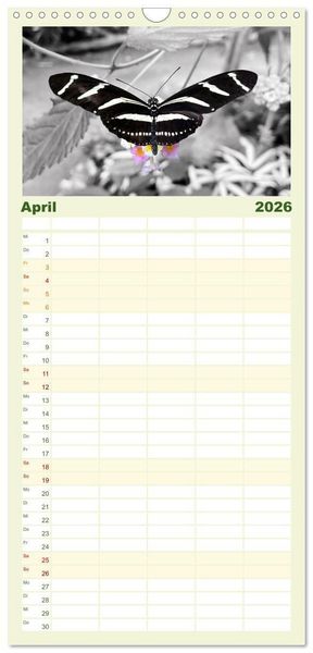 Produktbild: Familienplaner 2026 - Gefl&uuml;gelte Sch&ouml;nheiten der Tropen mit 5 Spalten (Wandkalender, 21 x 45 cm) CALVENDO