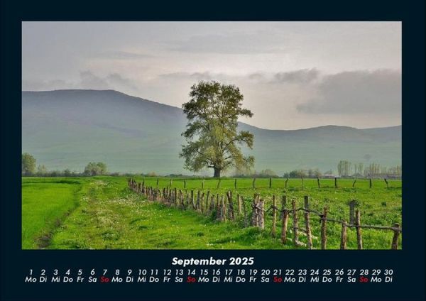 Produktbild: B&auml;ume 2025 Fotokalender DIN A4