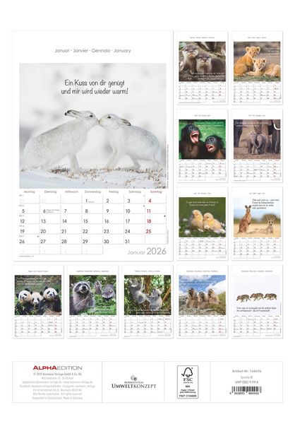 Produktbild: Kleine Freunde 2026 - Bildkalender 23,7x34 cm - Kalender mit Platz für Notizen - mit vielen Zusatzinformationen - Wandkalender - Alpha Edition