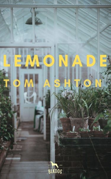 Produktbild: Lemonade