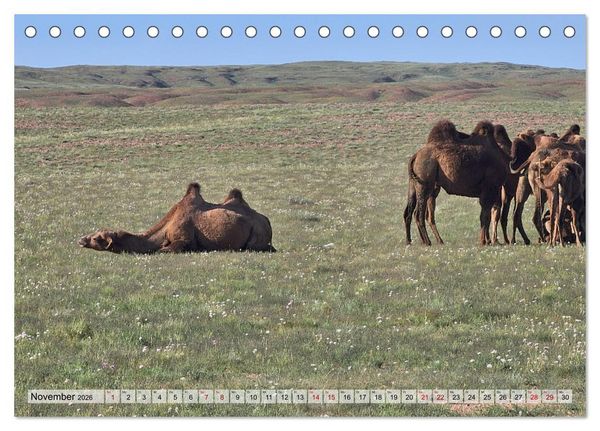 Produktbild: Nord-Gobi (Tischkalender 2026 DIN A5 quer), CALVENDO Monatskalender