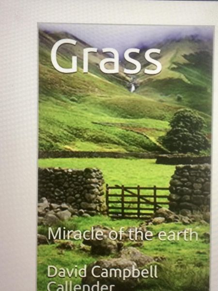 Produktbild: Grass. Miracle of the Earth (Callender Nature, #1)