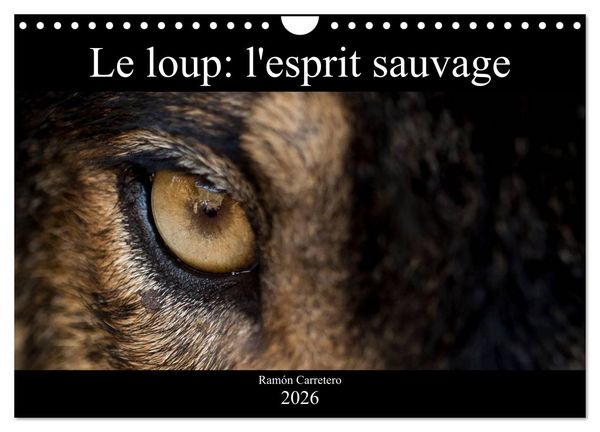 Produktbild: Le loup: l'esprit sauvage (Calendrier mural 2026 DIN A4 vertical), CALVENDO calendrier mensuel