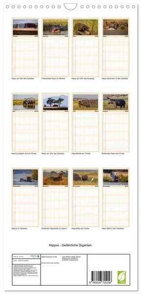 Produktbild: Familienplaner 2026 - Hippos - Gef&auml;hrliche Giganten mit 5 Spalten (Wandkalender, 21 x 45 cm) CALVENDO