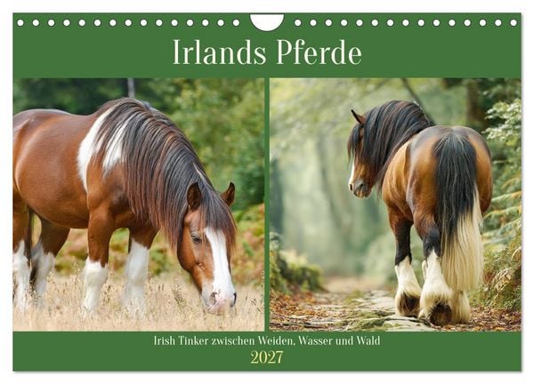 Produktbild: Irlands Pferde. Irish Tinker zwischen Weiden, Wasser und Wald (Wandkalender 2027 DIN A4 quer), CALVENDO Monatskalender