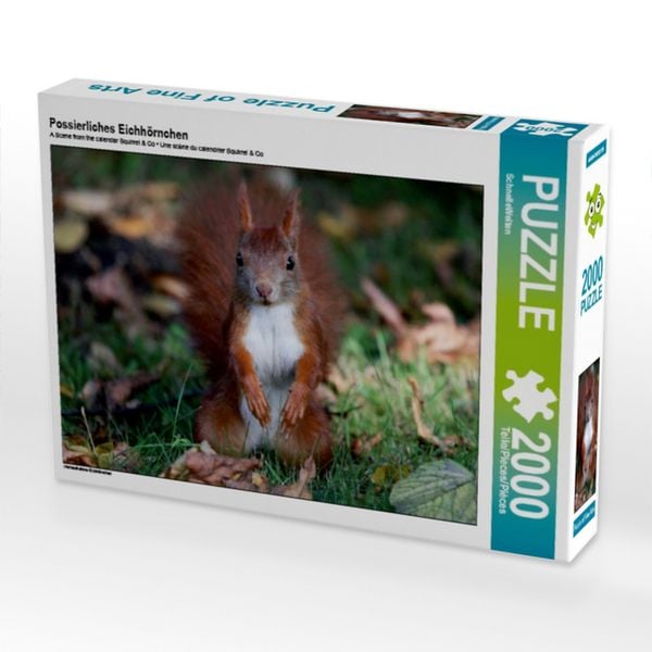 Produktbild: Possierliches Eichh&ouml;rnchen (Puzzle)