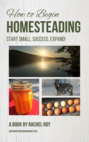 Produktbild: How to Begin Homesteading: Start Small, Succeed, Expand!