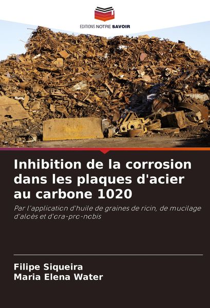 Produktbild: Inhibition de la corrosion dans les plaques d'acier au carbone 1020