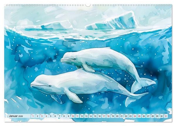 Produktbild: Eisige Polarkreise - Faszination der polaren Tierwelt (hochwertiger Premium Wandkalender 2026 DIN A2 quer), Kunstdruck in Hochglanz