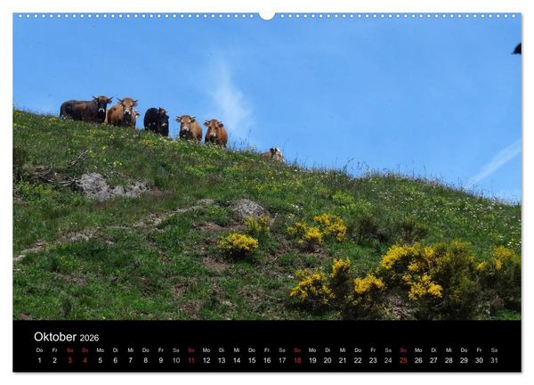 Produktbild: Ard&egrave;che &middot; Wandergebirge und Kajakschluchten in S&uuml;dfrankreich (hochwertiger Premium Wandkalender 2026 DIN A2 quer), Kunstdruck in Hochglanz