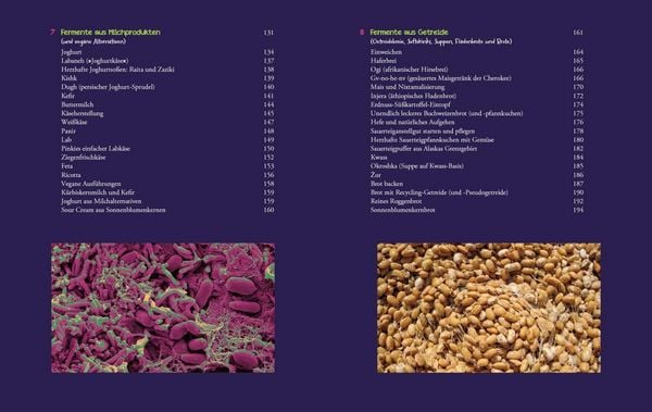 Produktbild: Die Fermentier-Bibel