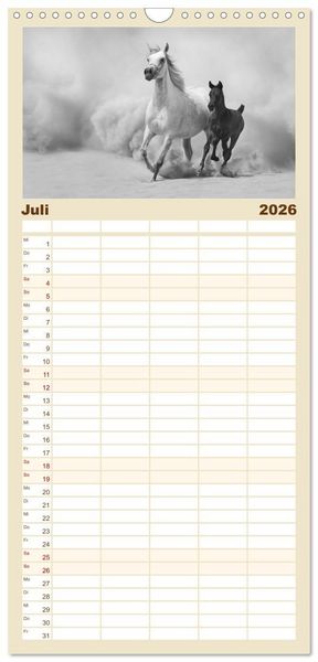 Produktbild: Familienplaner 2026 - Arabische Pferde mit 5 Spalten (Wandkalender, 21 x 45 cm) CALVENDO