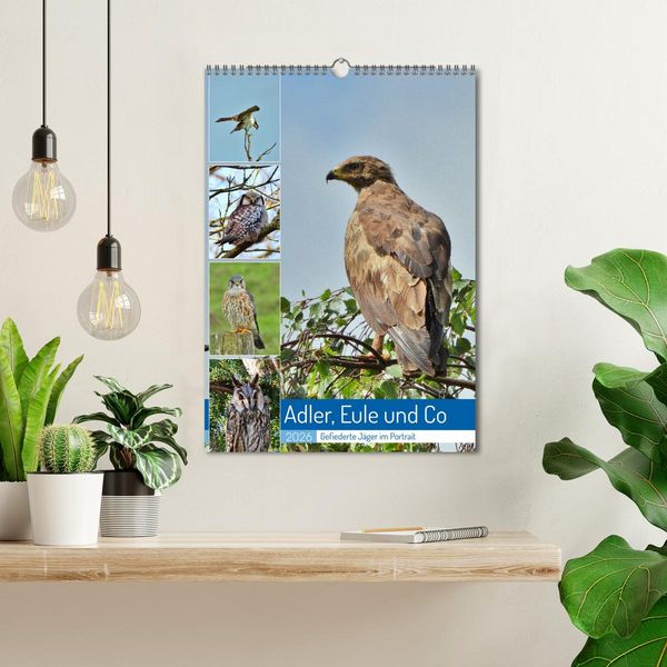 Produktbild: Adler, Eule und Co - Gefiederte J&auml;ger im Portrait (Wandkalender 2026 DIN A3 hoch), CALVENDO Monatskalender