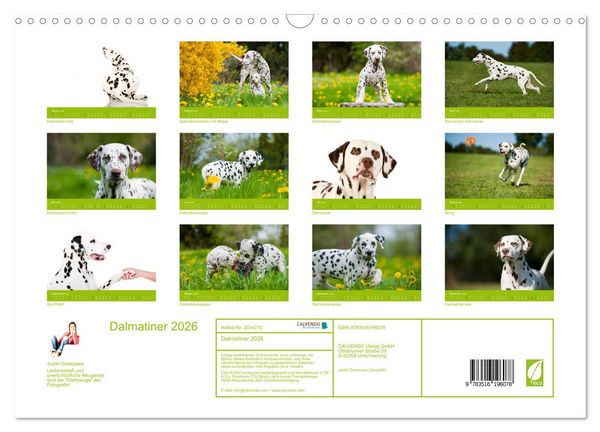 Produktbild: Dalmatiner 2026 (Wandkalender 2026 DIN A3 quer), CALVENDO Monatskalender