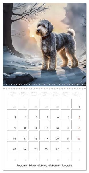 Produktbild: Aussiedoodle - Dogs to love (Wall Calendar 2026 12 &times; 12 Inch) CALVENDO 12 Month Wall Calendar