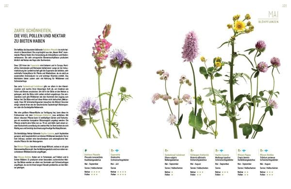 Produktbild: Wildbienenhelfer