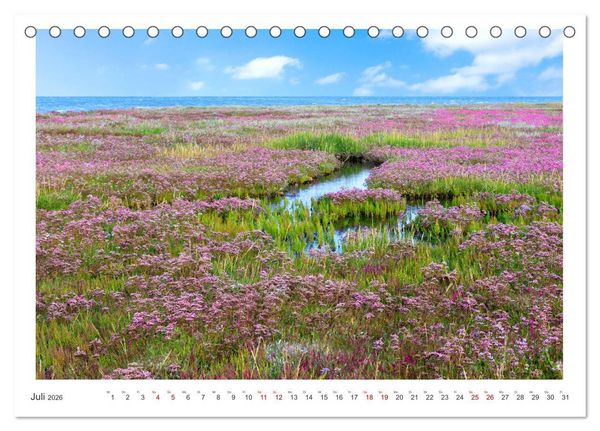 Produktbild: Buntes und bl&uuml;hendes Borkum (Tischkalender 2026 DIN A5 quer), CALVENDO Monatskalender