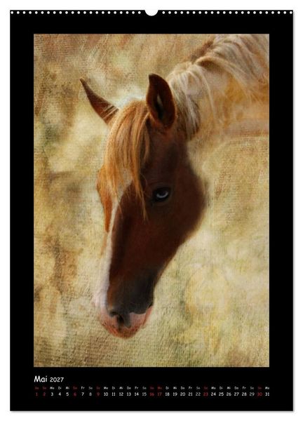 Produktbild: Art Horse 2027 (Wandkalender 2027 DIN A2 hoch), CALVENDO Monatskalender