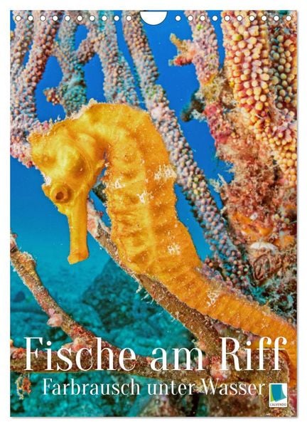 Farbrausch unter Wasser: Fische am Riff (Wandkalender 2026 DIN A4 hoch), CALVENDO Monatskalender