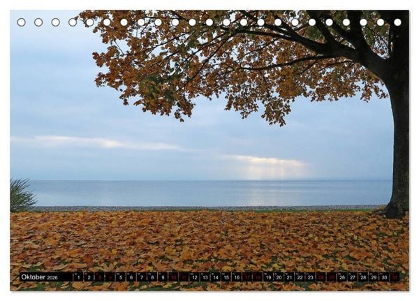 Produktbild: Sehenswerter Bodensee (Tischkalender 2026 DIN A5 quer), CALVENDO Monatskalender