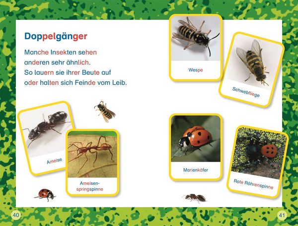 Produktbild: SUPERLESER! Insekten, top getarnt