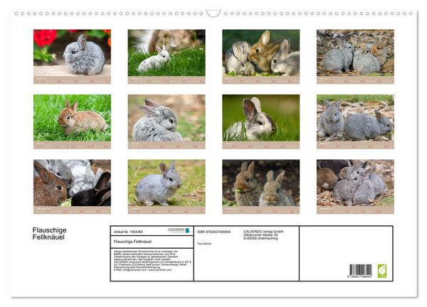 Produktbild: Flauschige Fellkn&auml;uel (Wandkalender 2026 DIN A2 quer), CALVENDO Monatskalender
