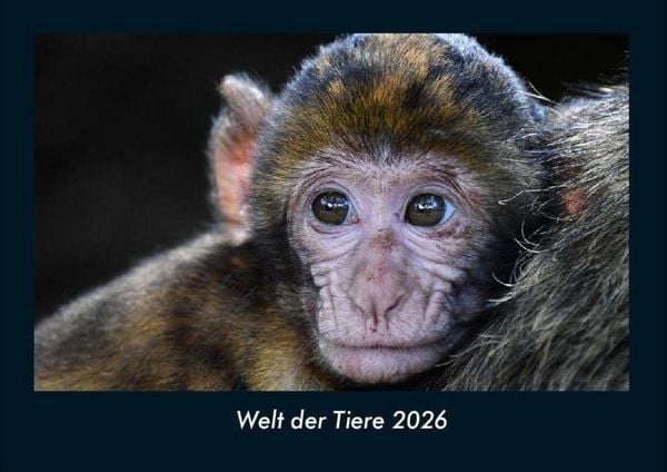 Welt der Tiere 2026 Fotokalender DIN A4