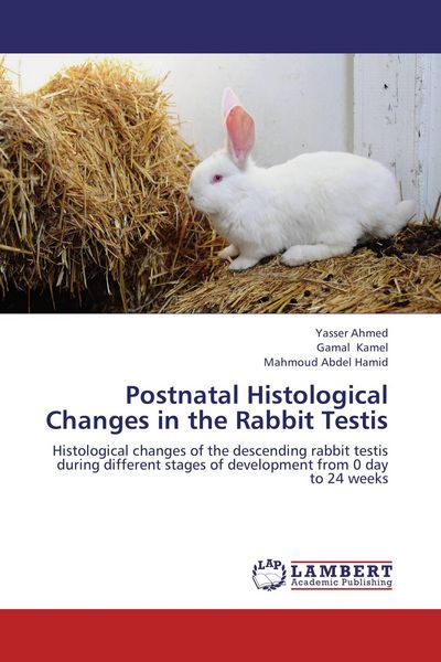 Produktbild: Postnatal Histological Changes in the Rabbit Testis