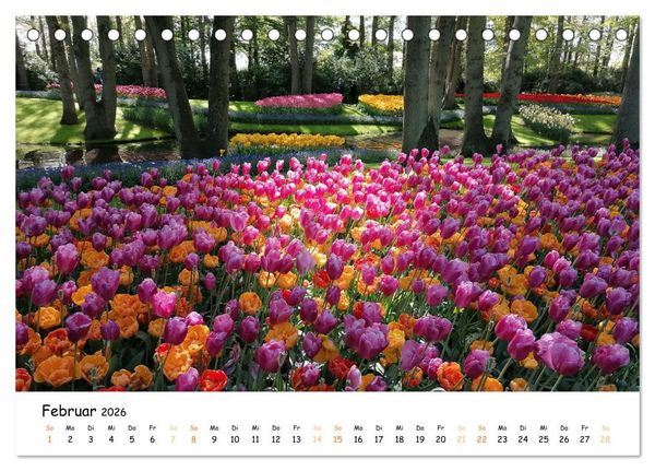 Produktbild: Auf Tour im Land der Tulpen (Tischkalender 2026 DIN A5 quer), CALVENDO Monatskalender