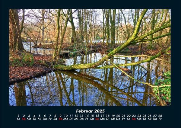 Produktbild: B&auml;ume 2025 Fotokalender DIN A4