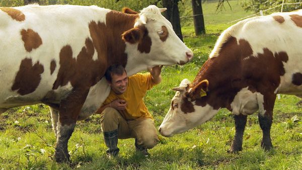 Produktbild: Im Namen der Tiere