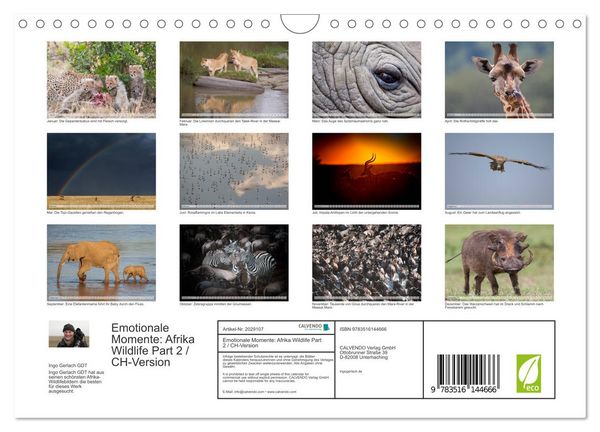 Produktbild: Emotionale Momente: Afrika Wildlife Part 2 / CH-Version (Wandkalender 2026 DIN A4 quer), CALVENDO Monatskalender