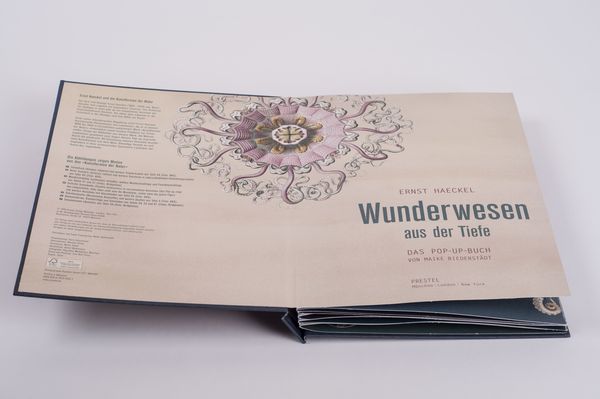 Wunderwesen aus der Tiefe. Ernst Haeckel