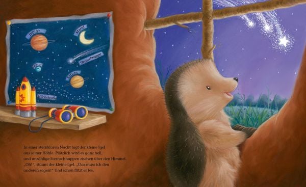 Produktbild: Der kleine Igel und die Sternschnuppen