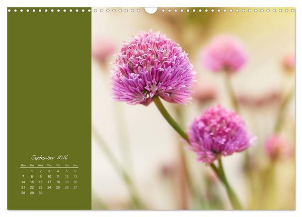 Produktbild: Vibrancy of flowers (Wall Calendar 2026 DIN A3 landscape), CALVENDO 12 Month Wall Calendar