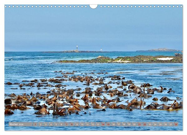 Produktbild: Les &icirc;les conqu&eacute;toises (Calendrier mural 2026 DIN A3 vertical), CALVENDO calendrier mensuel