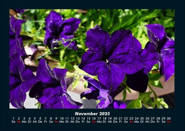 Produktbild: Blumenzauber 2025 Fotokalender DIN A4