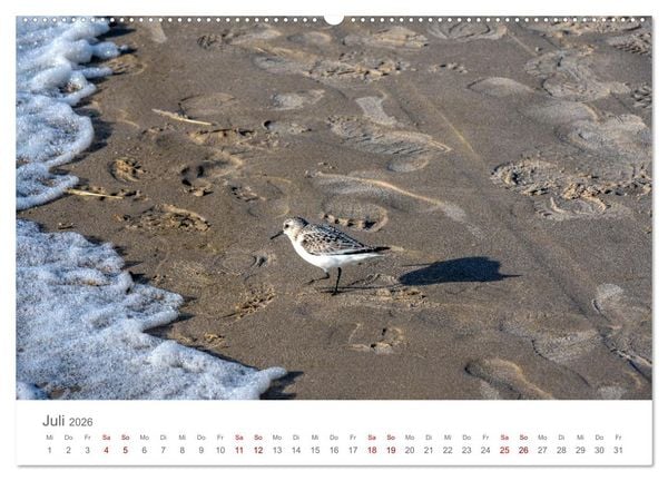 Produktbild: D&auml;nemark - Henne Strand (hochwertiger Premium Wandkalender 2026 DIN A2 quer), Kunstdruck in Hochglanz
