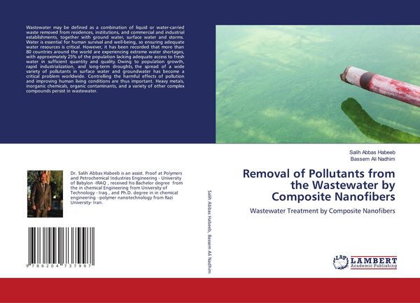 Produktbild: Removal of Pollutants from the Wastewater by Composite Nanofibers