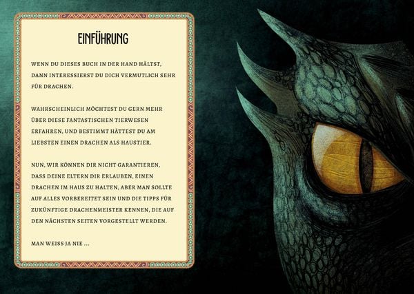 Produktbild: Drachen