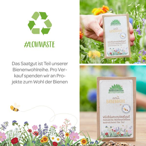 Produktbild: Bienenwohl Saatgutt&uuml;tchen